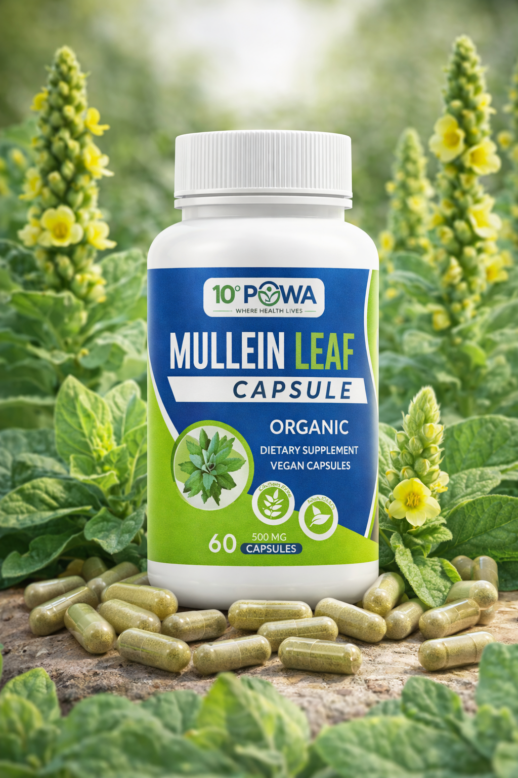 Mullein Leaf Capsules herbal supplement supporting natural lung health and respiratory wellness