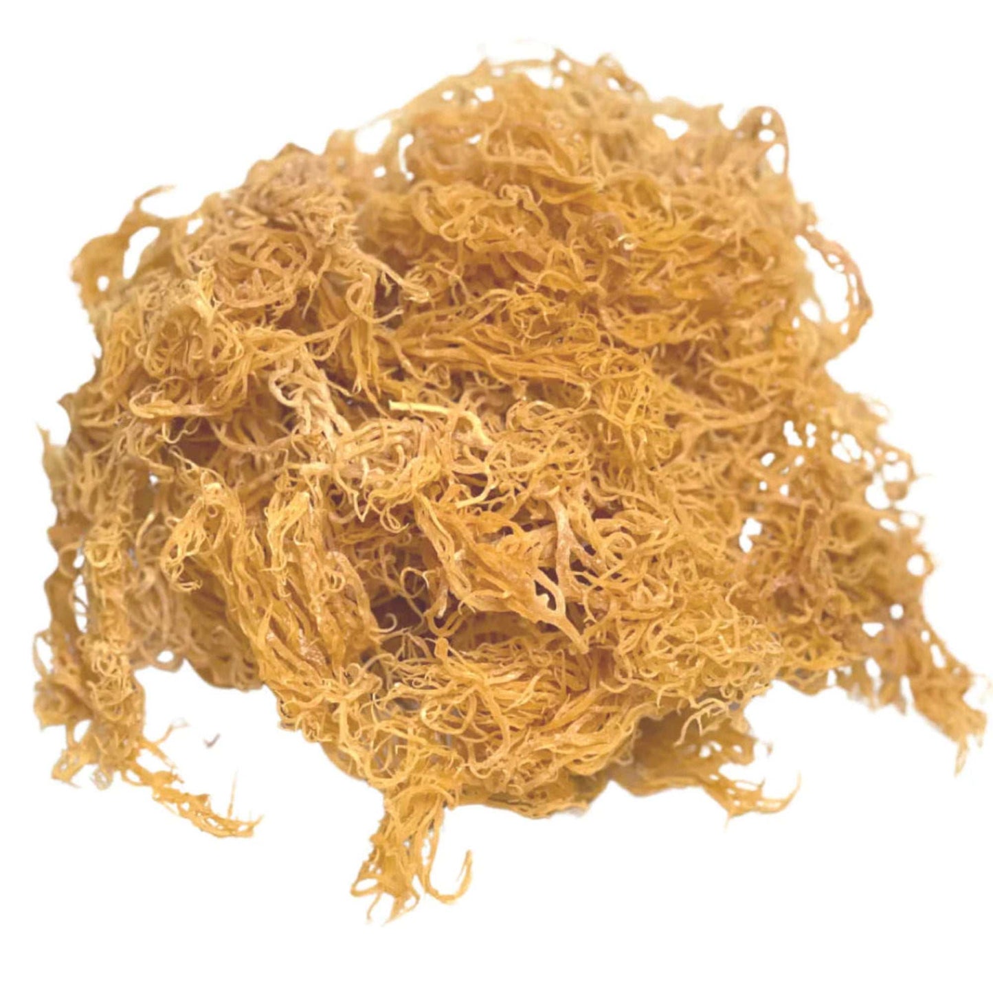 Natural raw unfiltered bulk wild craft sea moss for wholesale supply