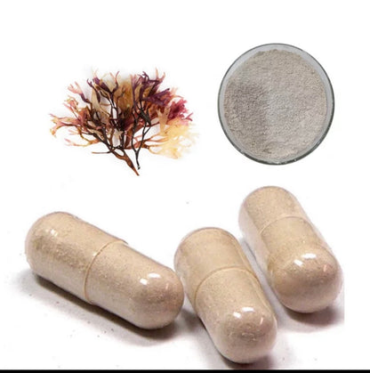 1 kg capsules (sea moss, burdock root and bladderwrack mixed)