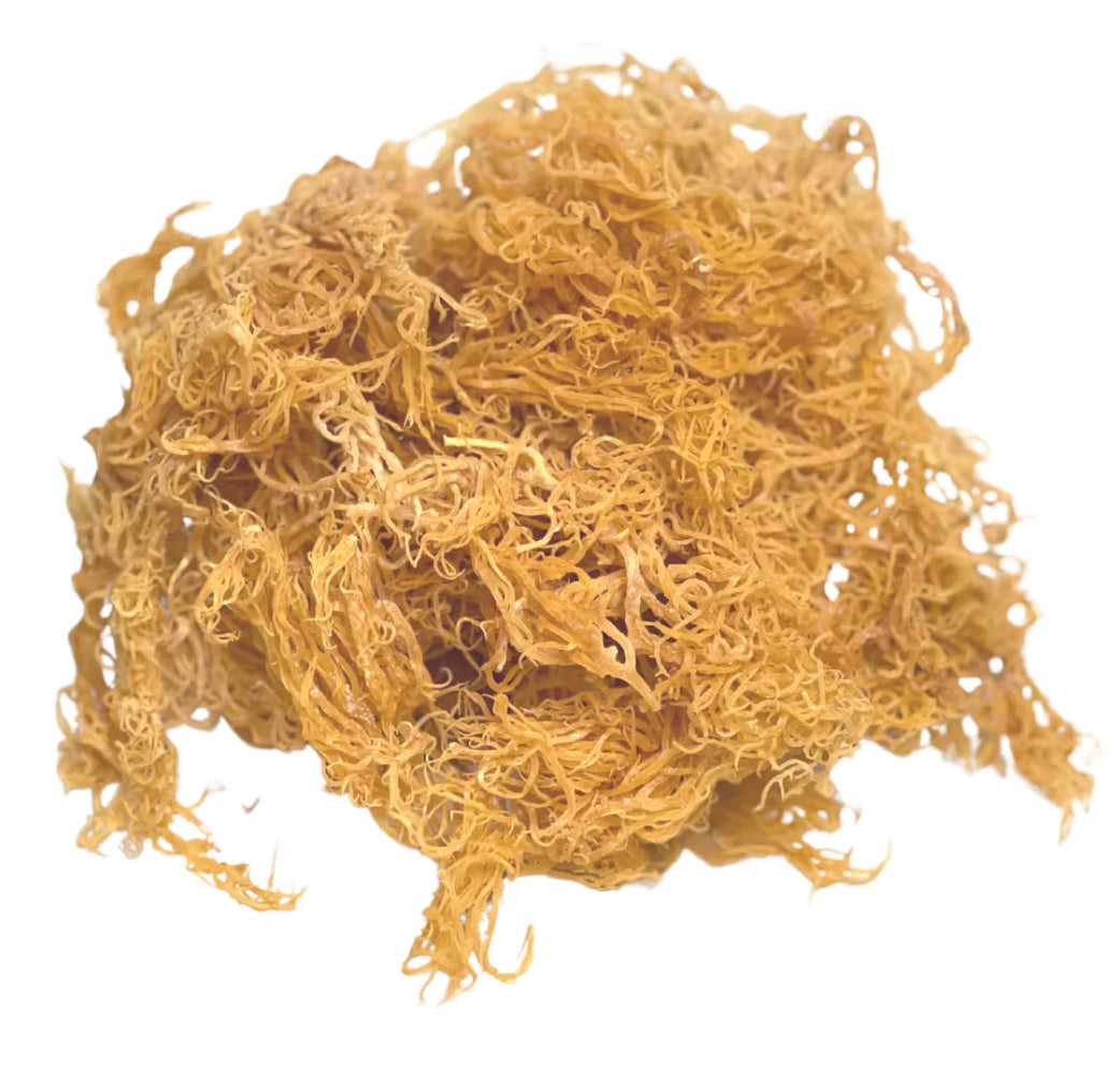 100% Natural Raw Unfiltered Bulk Wild Craft Sea Moss