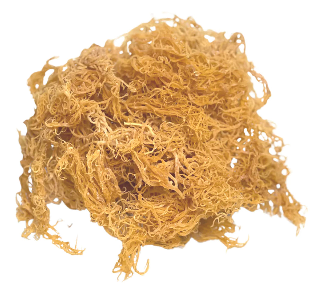 Natural Raw Unfiltered Bulk Wild Craft Sea Moss